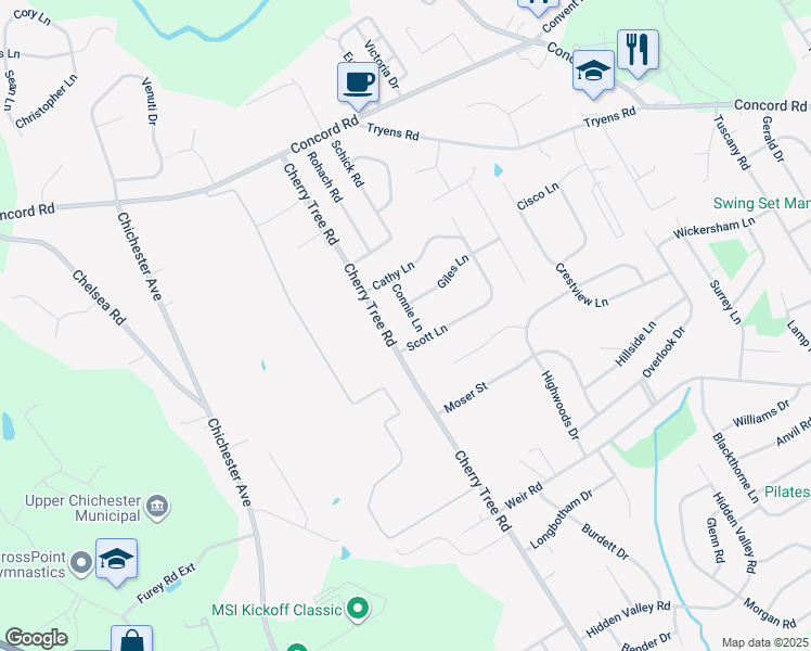 map of restaurants, bars, coffee shops, grocery stores, and more near 40 Connie Lane in Delaware County