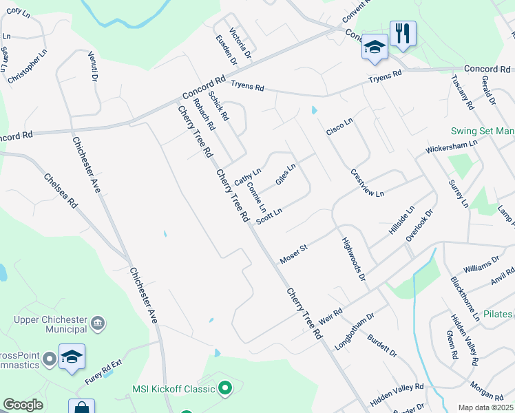 map of restaurants, bars, coffee shops, grocery stores, and more near 40 Connie Lane in Delaware County