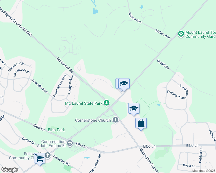 map of restaurants, bars, coffee shops, grocery stores, and more near 16 Forrest Court in Mount Laurel