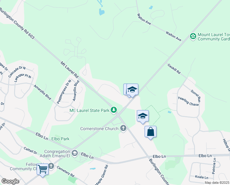 map of restaurants, bars, coffee shops, grocery stores, and more near 16 Forrest Court in Mount Laurel