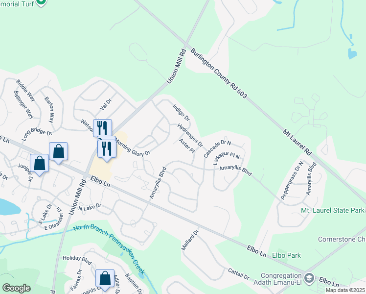 map of restaurants, bars, coffee shops, grocery stores, and more near 406 Aster Place in Mount Laurel Township