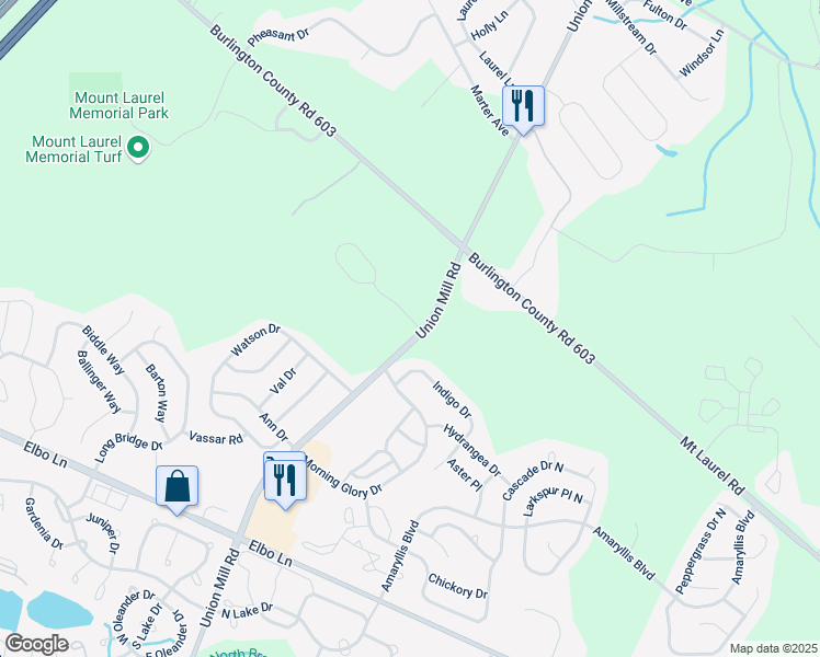 map of restaurants, bars, coffee shops, grocery stores, and more near 1 Buckingham Way in Mount Laurel Township