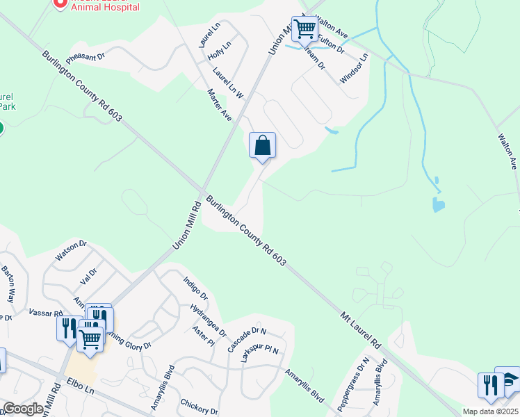map of restaurants, bars, coffee shops, grocery stores, and more near 336 Mount Laurel Road in Mount Laurel Township
