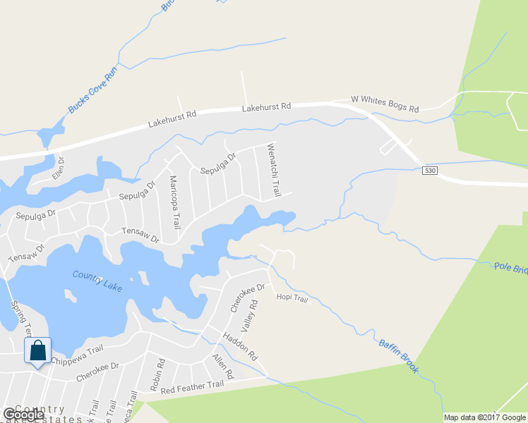 map of restaurants, bars, coffee shops, grocery stores, and more near 110 Tensaw Drive in Pemberton Township