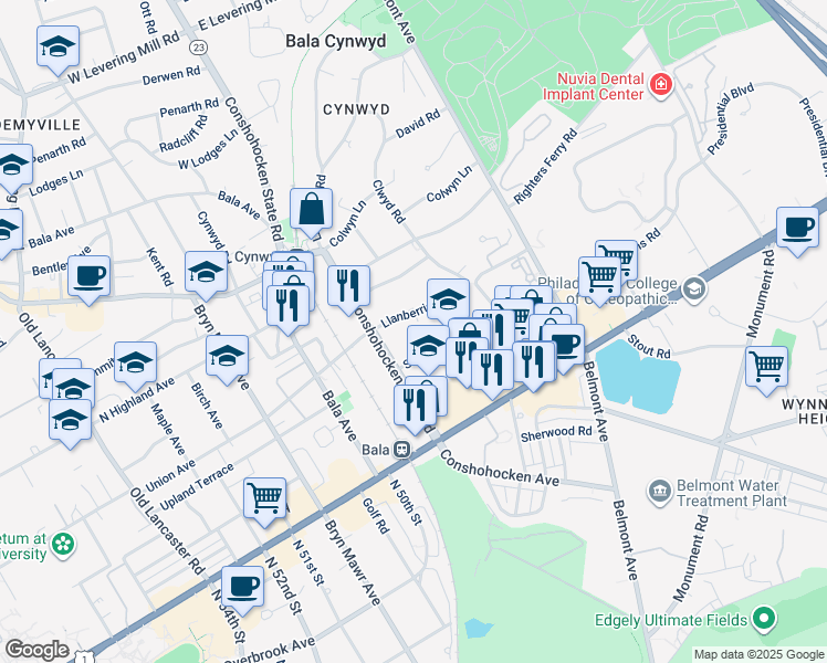 map of restaurants, bars, coffee shops, grocery stores, and more near 9 Llanberris Road in Bala Cynwyd