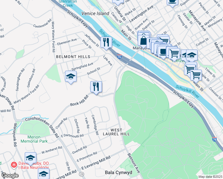 map of restaurants, bars, coffee shops, grocery stores, and more near 251 Rock Hill Road in Bala Cynwyd