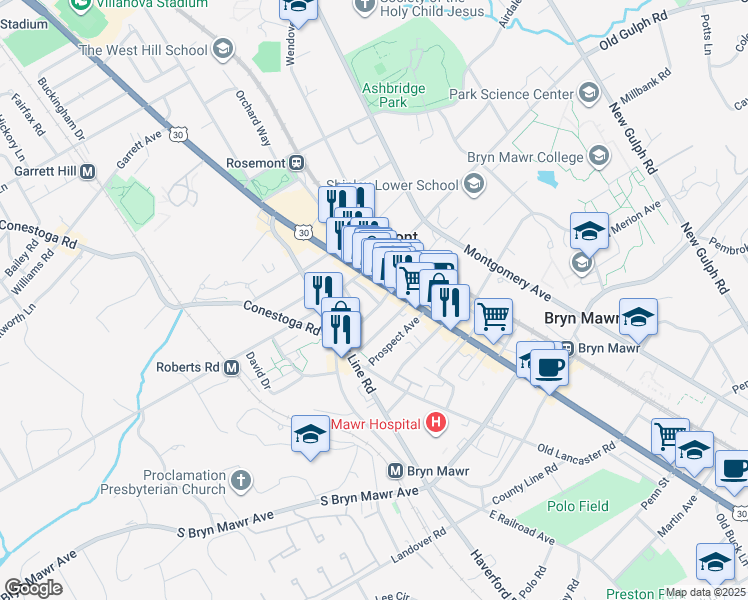 map of restaurants, bars, coffee shops, grocery stores, and more near 29 Thomas Avenue in Bryn Mawr