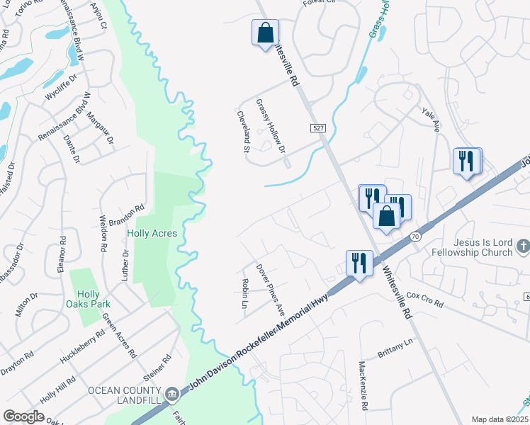 map of restaurants, bars, coffee shops, grocery stores, and more near 207 Schley Avenue in Toms River