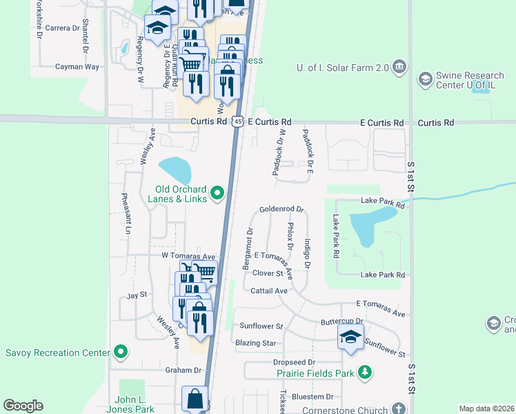 map of restaurants, bars, coffee shops, grocery stores, and more near 102 Goldenrod Drive in Savoy