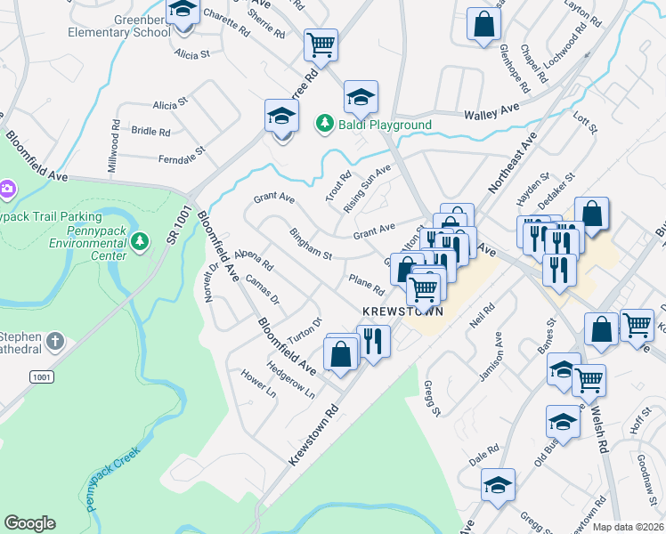 map of restaurants, bars, coffee shops, grocery stores, and more near 1128 Bingham Street in Philadelphia