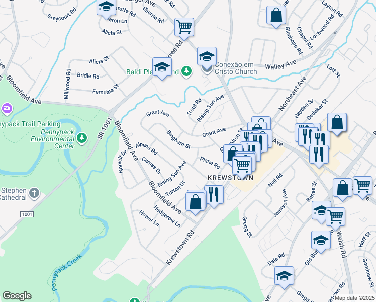 map of restaurants, bars, coffee shops, grocery stores, and more near 1116 Bingham Street in Philadelphia