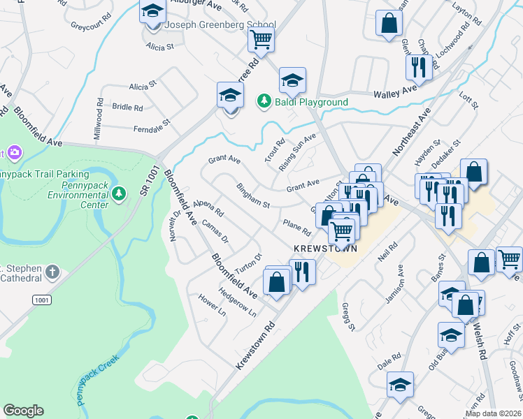 map of restaurants, bars, coffee shops, grocery stores, and more near 1110 Bingham Street in Philadelphia