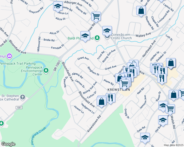 map of restaurants, bars, coffee shops, grocery stores, and more near 1102 Bingham Street in Philadelphia