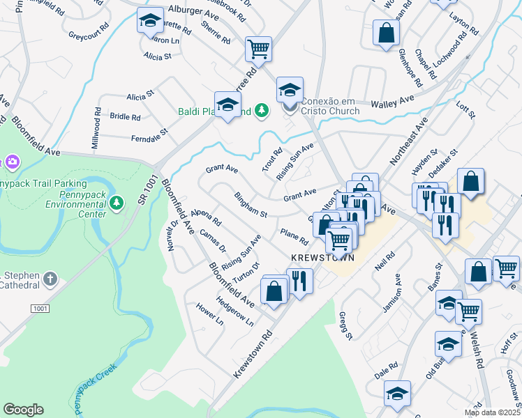 map of restaurants, bars, coffee shops, grocery stores, and more near 1109 Bingham Street in Philadelphia