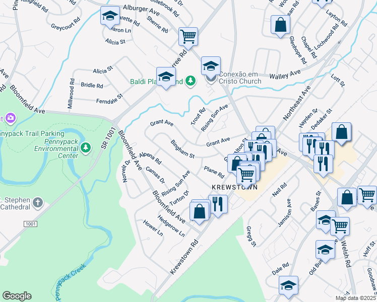 map of restaurants, bars, coffee shops, grocery stores, and more near 1107 Bingham Street in Philadelphia
