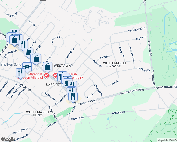 map of restaurants, bars, coffee shops, grocery stores, and more near 4036 Woodruff Road in Lafayette Hill
