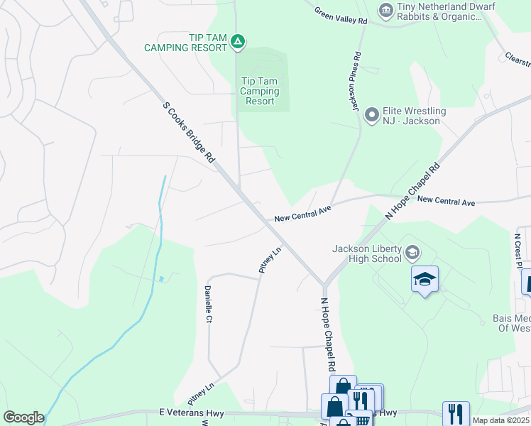 map of restaurants, bars, coffee shops, grocery stores, and more near 495 South Cooks Bridge Road in Jackson Township