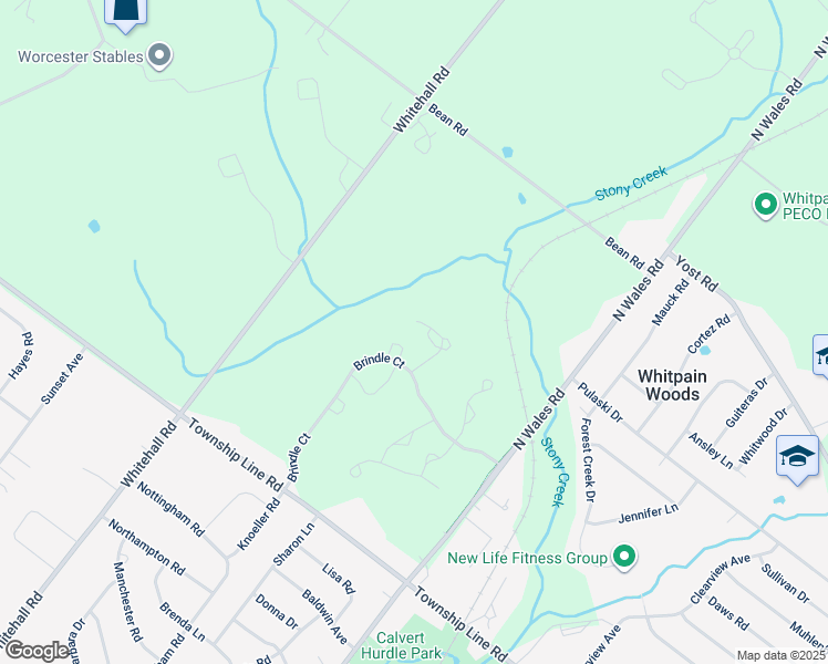 map of restaurants, bars, coffee shops, grocery stores, and more near 121 Mustang Way in Eagleville