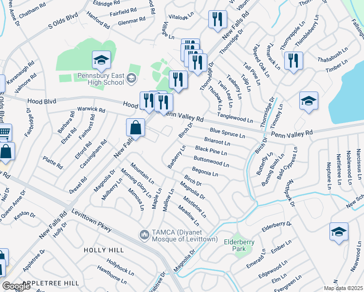 map of restaurants, bars, coffee shops, grocery stores, and more near 93 Black Pine Lane in Levittown