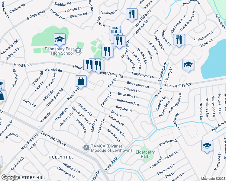 map of restaurants, bars, coffee shops, grocery stores, and more near 88 Black Pine Lane in Levittown