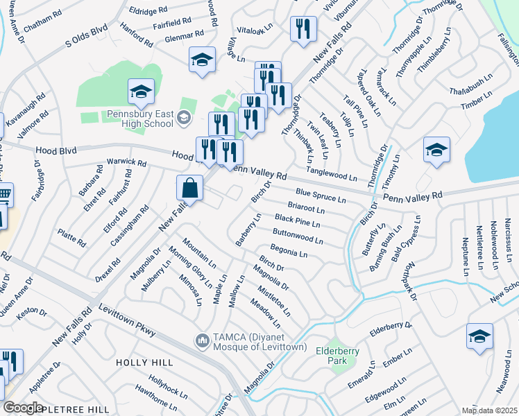 map of restaurants, bars, coffee shops, grocery stores, and more near 94 Black Pine Lane in Levittown