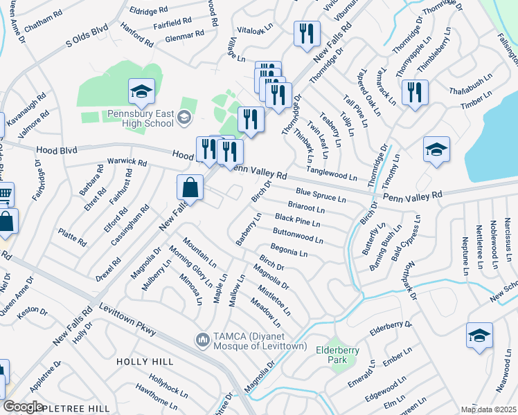 map of restaurants, bars, coffee shops, grocery stores, and more near 94 Black Pine Lane in Levittown