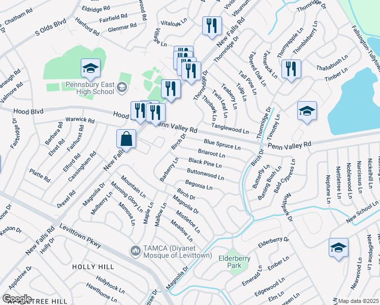 map of restaurants, bars, coffee shops, grocery stores, and more near 79 Briaroot Lane in Levittown