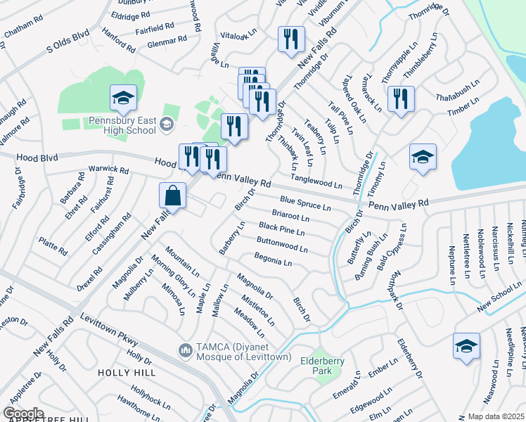 map of restaurants, bars, coffee shops, grocery stores, and more near 79 Briaroot Lane in Levittown