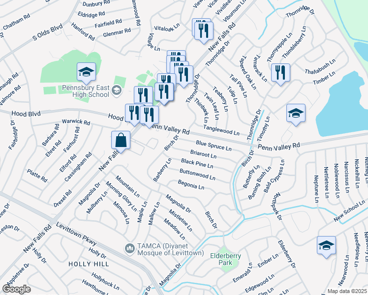 map of restaurants, bars, coffee shops, grocery stores, and more near 79 Briaroot Lane in Levittown