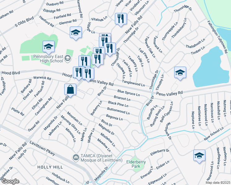 map of restaurants, bars, coffee shops, grocery stores, and more near 85 Blue Spruce Lane in Levittown