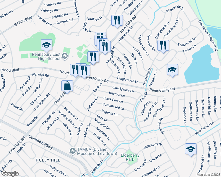map of restaurants, bars, coffee shops, grocery stores, and more near 85 Blue Spruce Lane in Levittown