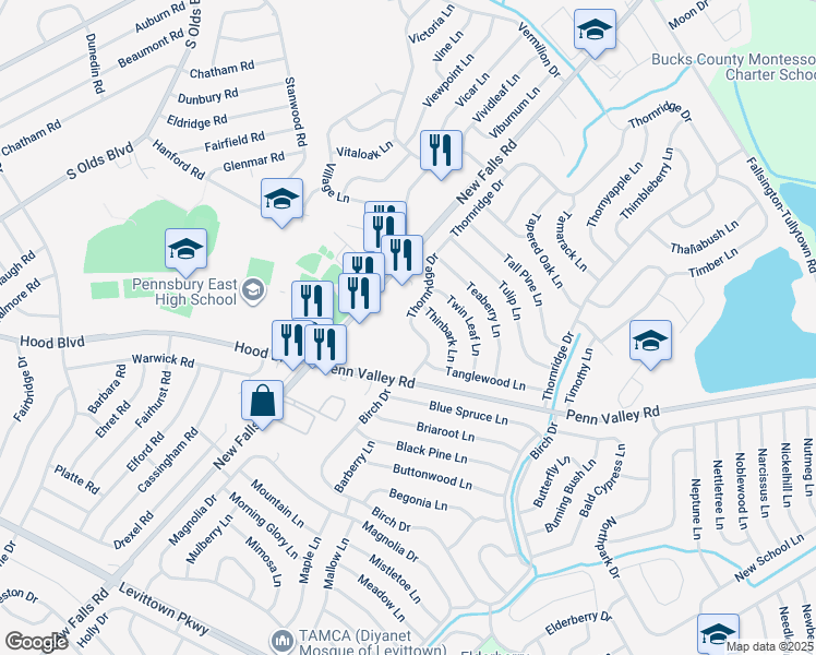 map of restaurants, bars, coffee shops, grocery stores, and more near 430 Thornridge Drive in Levittown