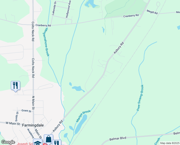 map of restaurants, bars, coffee shops, grocery stores, and more near 16 Johnny Drive in Farmingdale