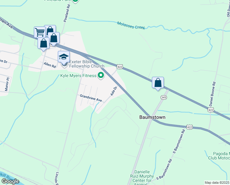 map of restaurants, bars, coffee shops, grocery stores, and more near 229 Ada Drive in Birdsboro