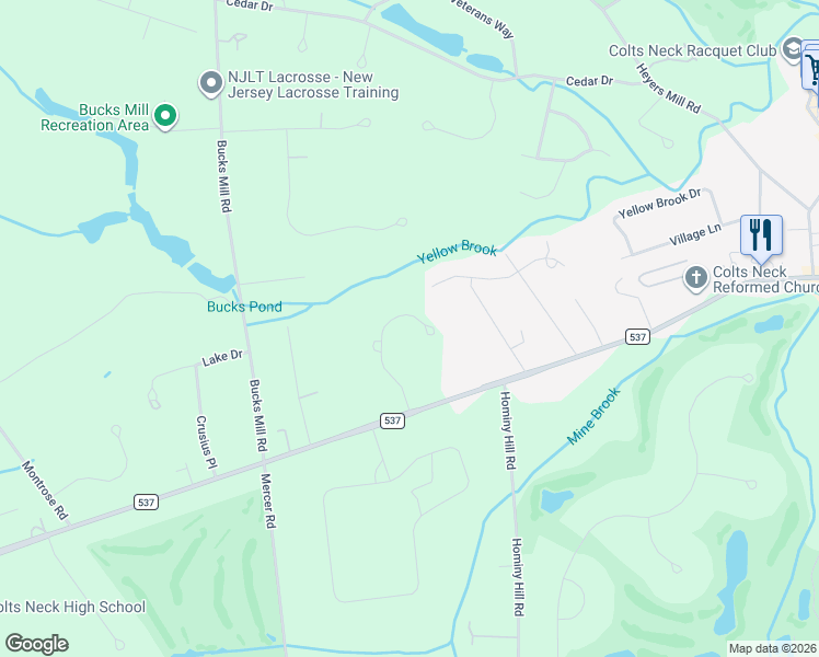 map of restaurants, bars, coffee shops, grocery stores, and more near 9 Shady Tree Lane in Colts Neck