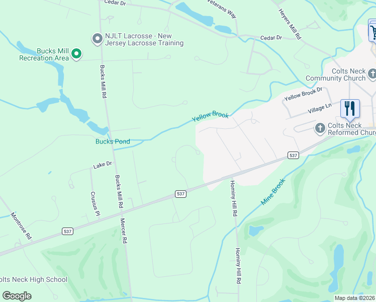 map of restaurants, bars, coffee shops, grocery stores, and more near 9 Shady Tree Lane in Colts Neck