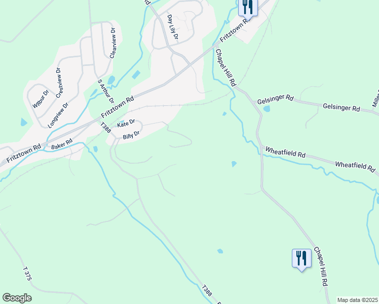 map of restaurants, bars, coffee shops, grocery stores, and more near 919 Connor Court in Sinking Spring