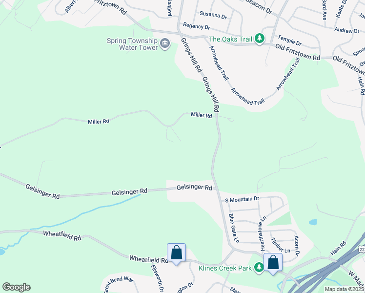 map of restaurants, bars, coffee shops, grocery stores, and more near 461 Miller Road in Sinking Spring