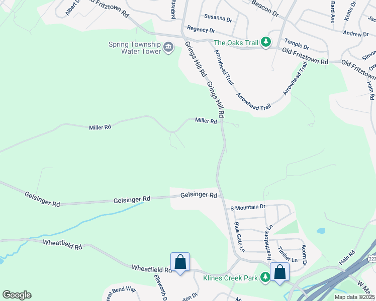 map of restaurants, bars, coffee shops, grocery stores, and more near 461 Miller Road in Sinking Spring