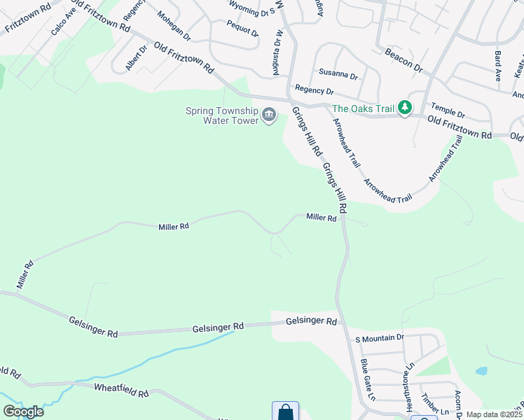 map of restaurants, bars, coffee shops, grocery stores, and more near 442 Miller Road in Sinking Spring
