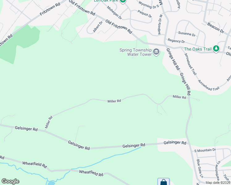 map of restaurants, bars, coffee shops, grocery stores, and more near 348 Miller Road in Sinking Spring