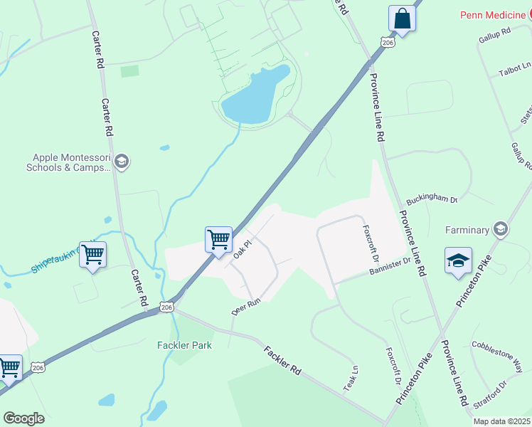 map of restaurants, bars, coffee shops, grocery stores, and more near 106 Oak Place in Princeton