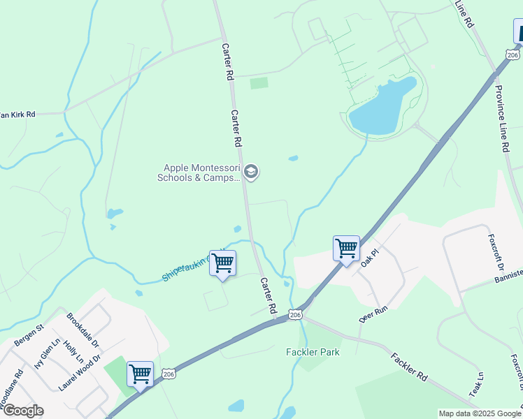 map of restaurants, bars, coffee shops, grocery stores, and more near 38 Carter Road in Princeton