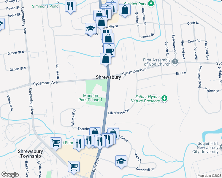map of restaurants, bars, coffee shops, grocery stores, and more near 905 Broad Street in Shrewsbury