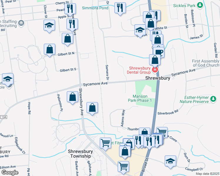 map of restaurants, bars, coffee shops, grocery stores, and more near 489 Sycamore Avenue in Shrewsbury