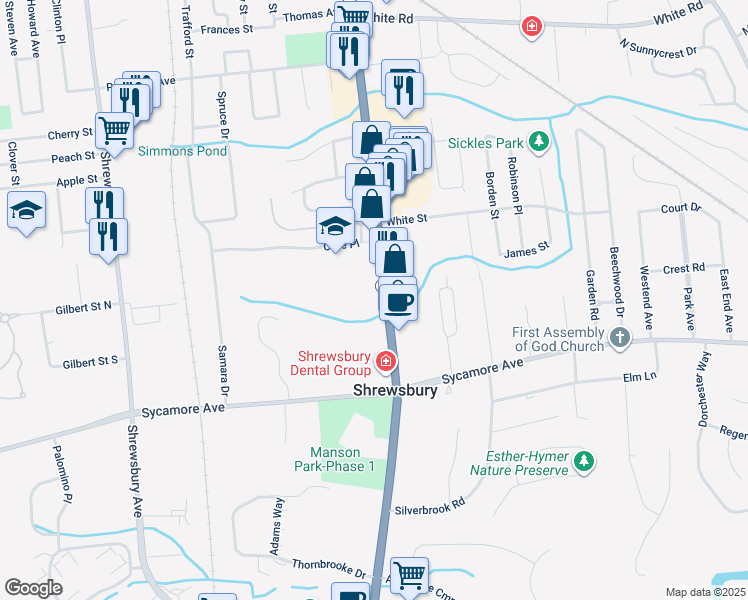 map of restaurants, bars, coffee shops, grocery stores, and more near 766 Broad Street in Shrewsbury