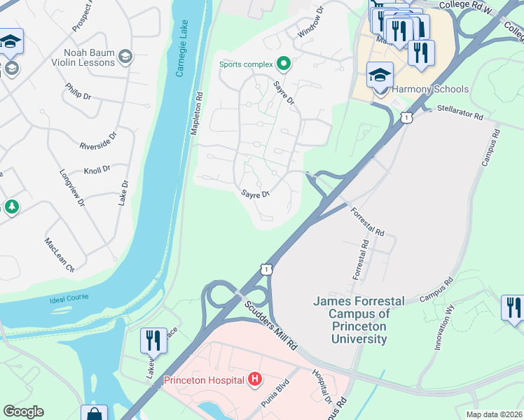 map of restaurants, bars, coffee shops, grocery stores, and more near 540 Sayre Drive in Princeton