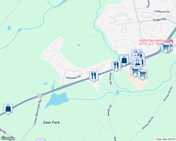 map of restaurants, bars, coffee shops, grocery stores, and more near 49 Parchment Drive in New Hope