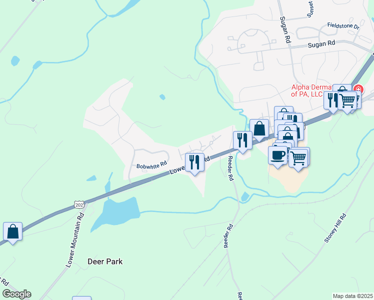 map of restaurants, bars, coffee shops, grocery stores, and more near 43 Parchment Drive in New Hope