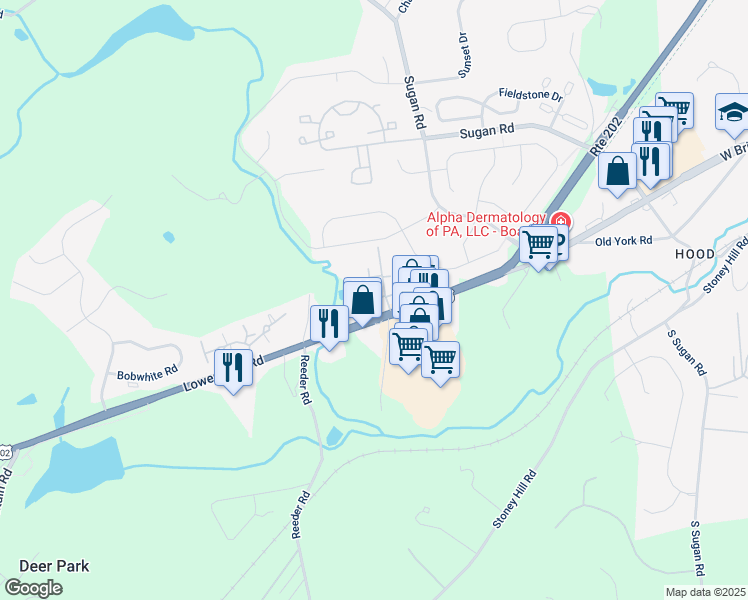 map of restaurants, bars, coffee shops, grocery stores, and more near 31 Meadow Lane in New Hope